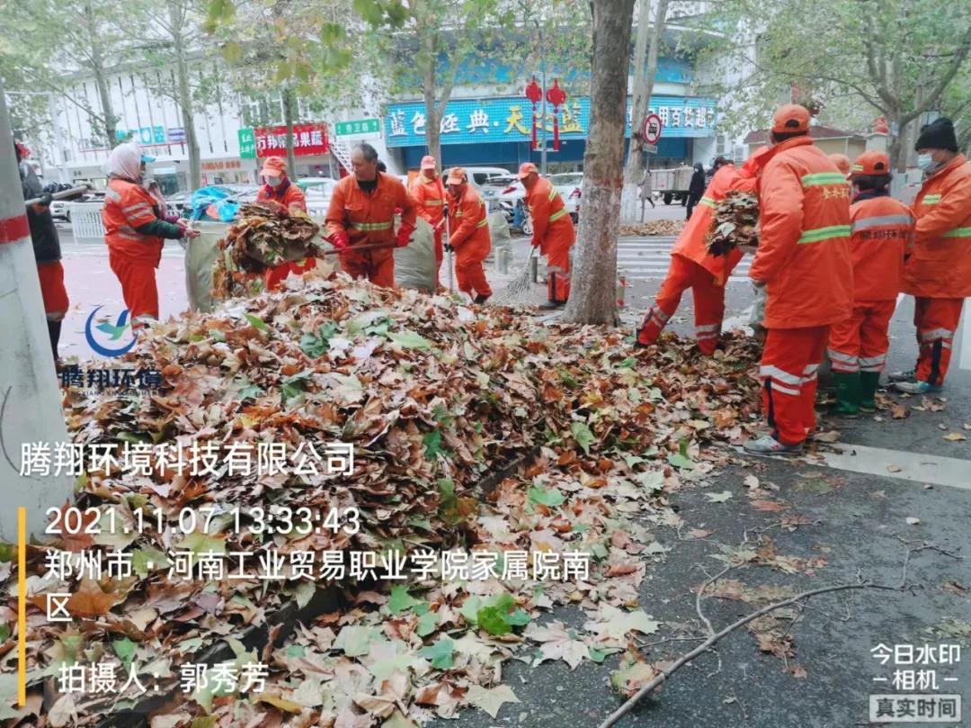 寒潮来袭，环卫清扫落叶忙